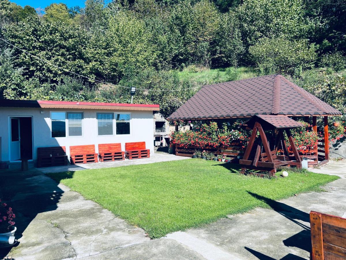 Pensiunea Ilarie Ocnele Mari Exterior foto